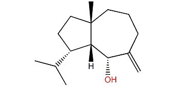 Millecrone A